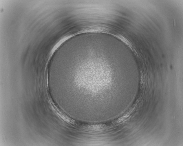 X0000060811078200511141500