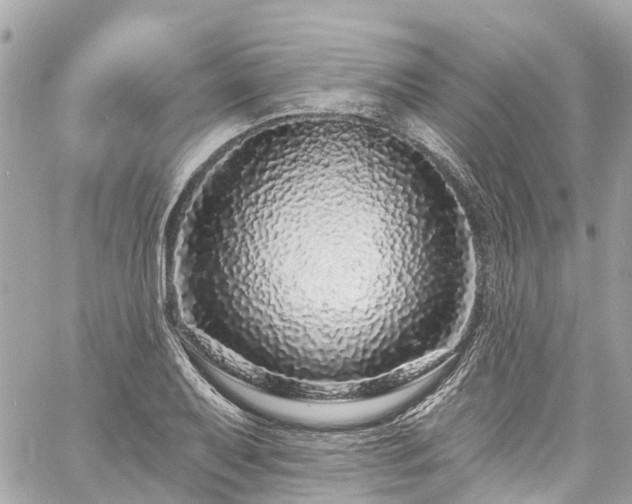 X0000060811079200511141500