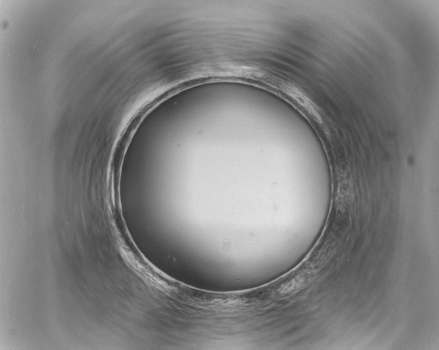 X0000060811080200511141500