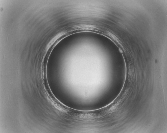 X0000060811082200511141500