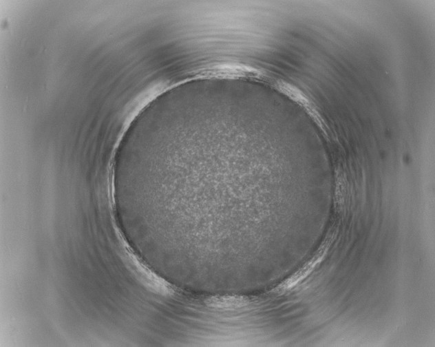 X0000060811083200511141500