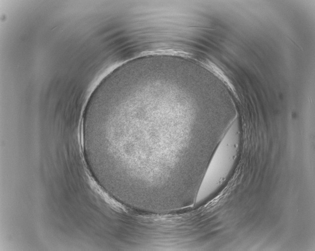 X0000060811084200511141500