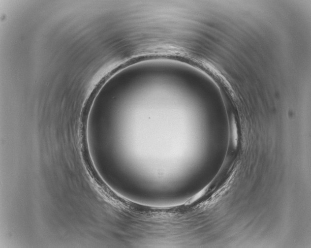 X0000060811085200511141500