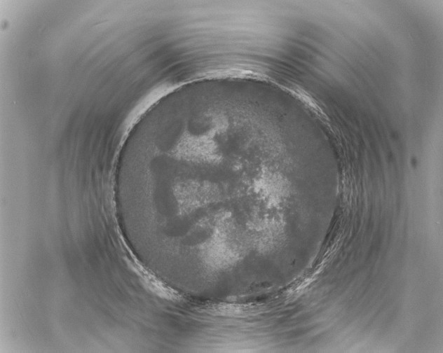 X0000060811086200511141500