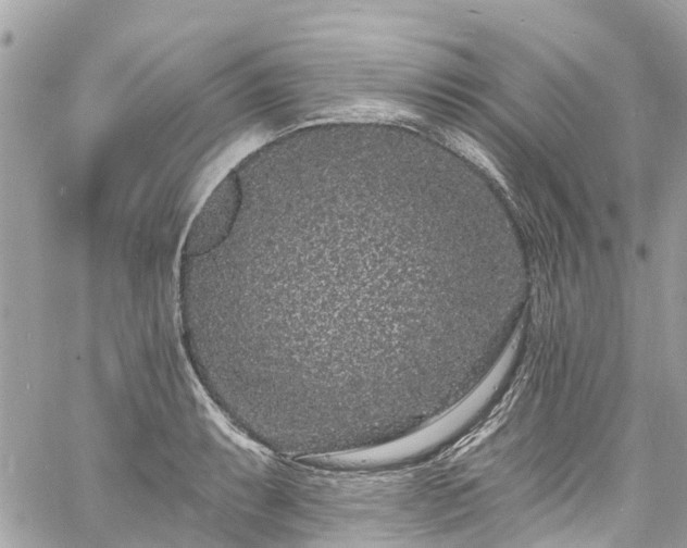 X0000060811087200511141500