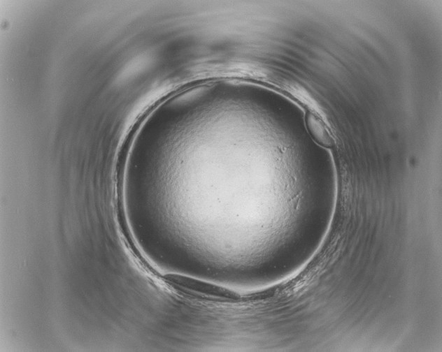 X0000060811088200511141500