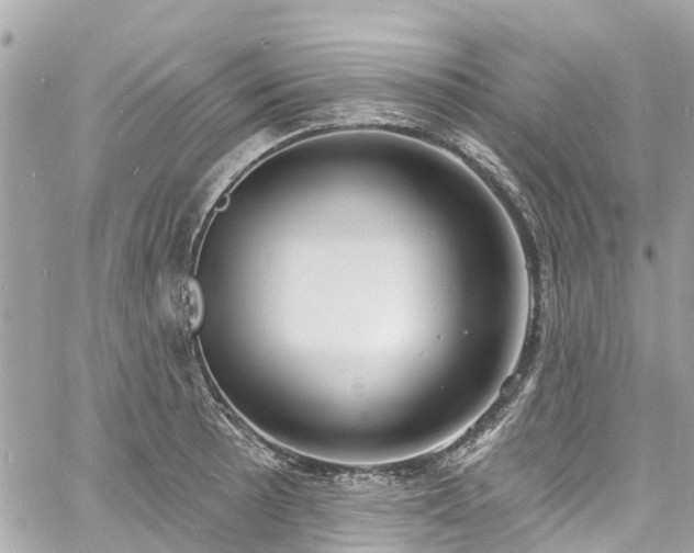 X0000060811089200511141500