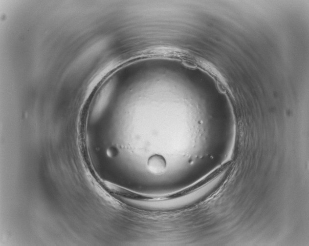 X0000060811091200511141500