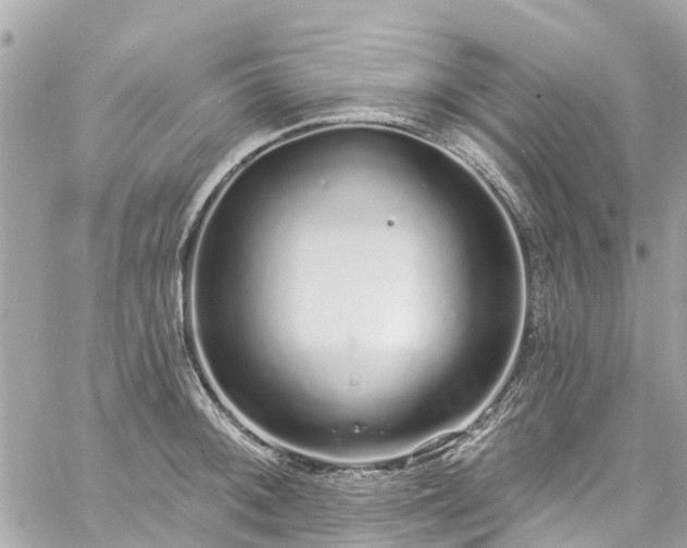 X0000060811092200511141500