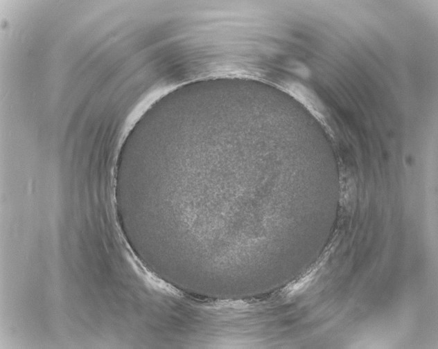 X0000060811094200511141500