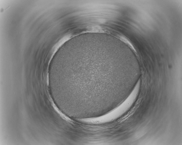 X0000060811095200511141500