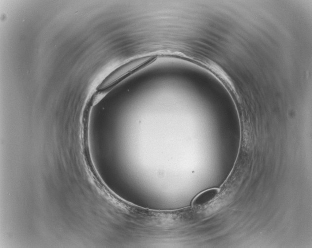 X0000060811096200511141500