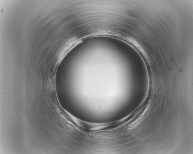 X0000060811097200511141500