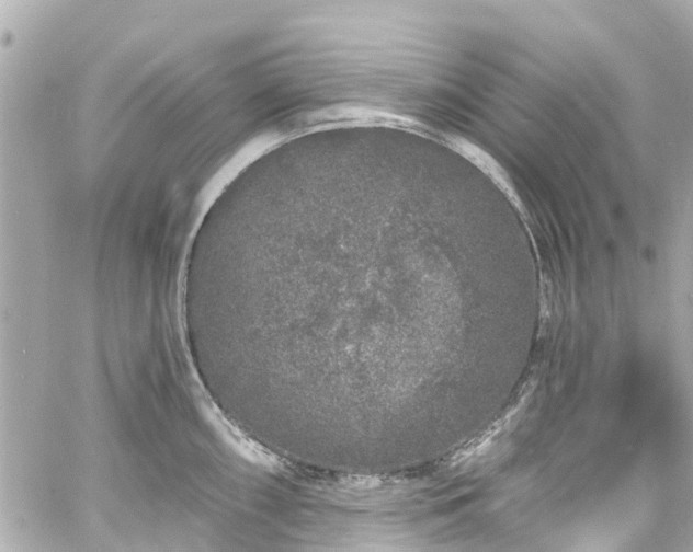 X0000060811098200511141500