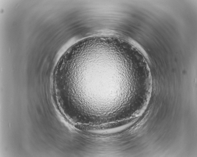 X0000060811099200511141500