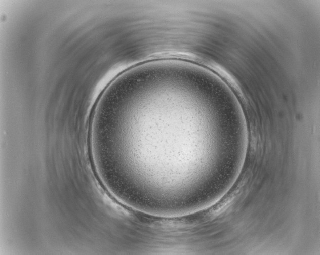 X0000060811102200511141459