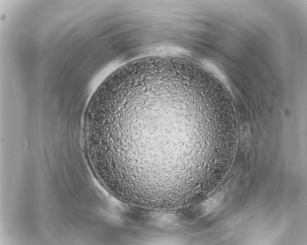 X0000060811103200511141459