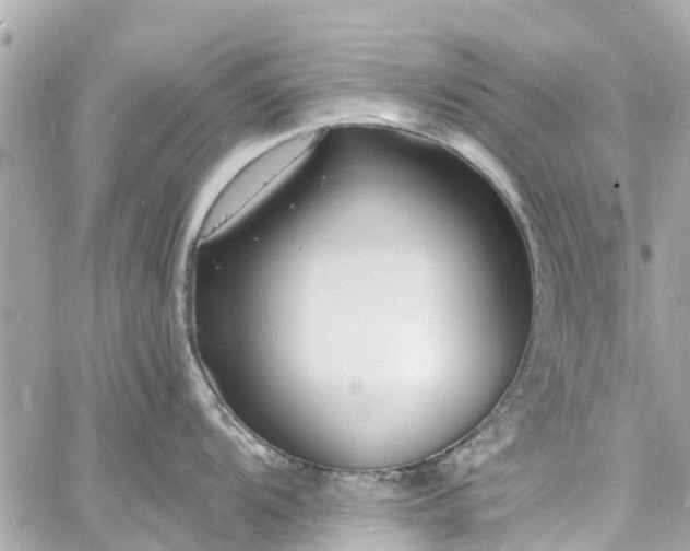 X0000060811104200511141459