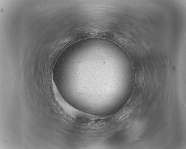 X0000060811105200511141459