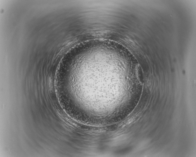 X0000060811106200511141459