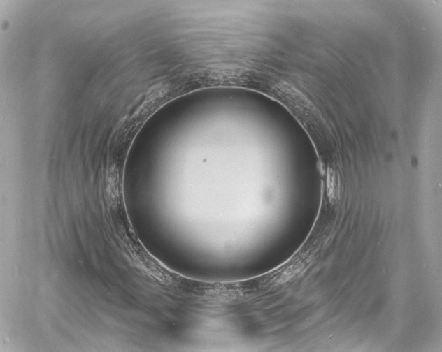 X0000060811107200511141459