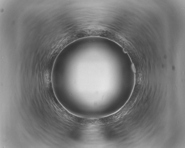 X0000060811108200511141459