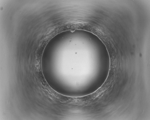 X0000060811109200511141459