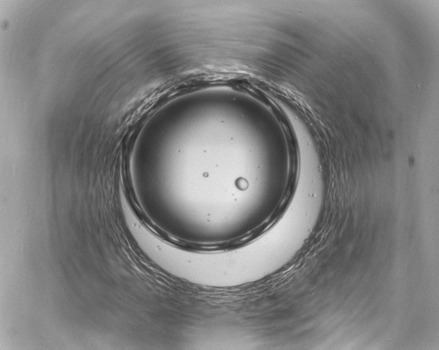 X0000060811110200511141459