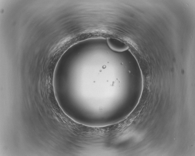 X0000060811111200511141459