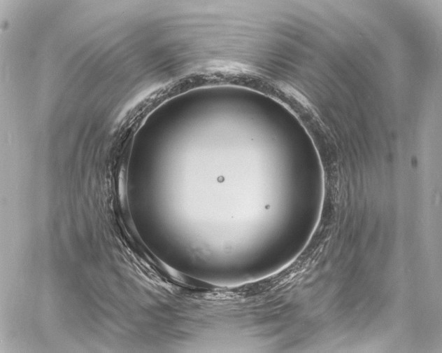 X0000060811112200511141459