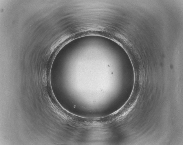 X0000060811113200511141459