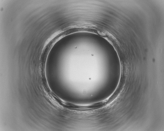 X0000060811114200511141459