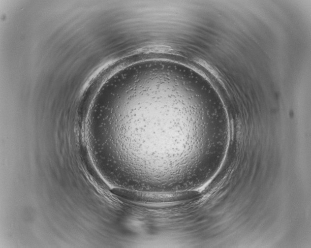 X0000060811115200511141459