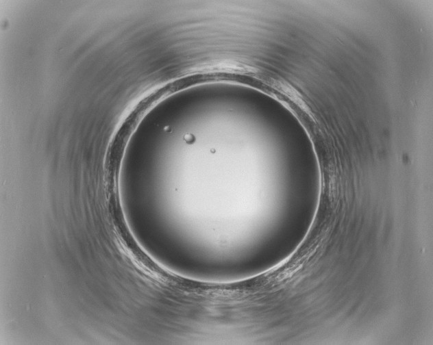 X0000060811116200511141459