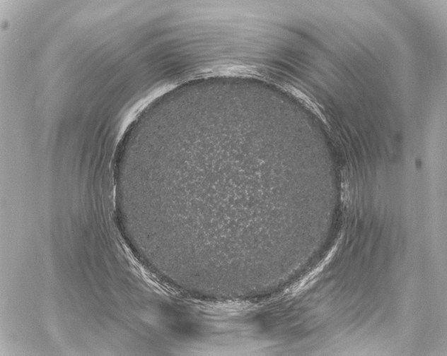 X0000060811117200511141459