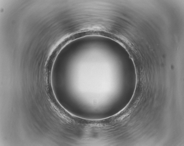 X0000060811118200511141459