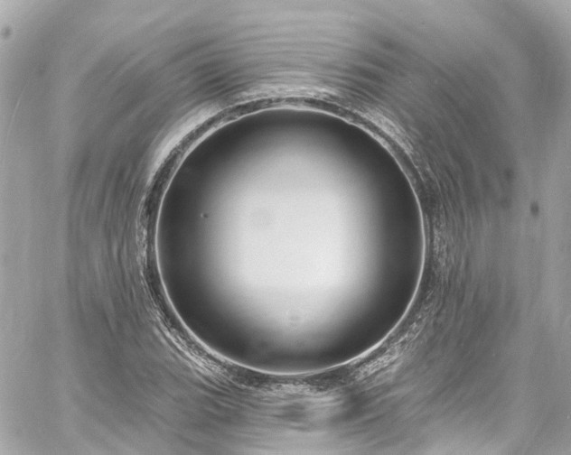 X0000060811119200511141459