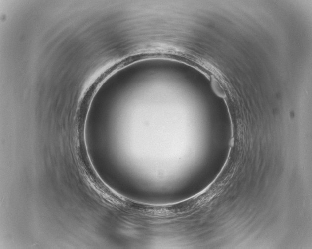 X0000060811120200511141459