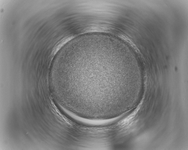 X0000060811121200511141459