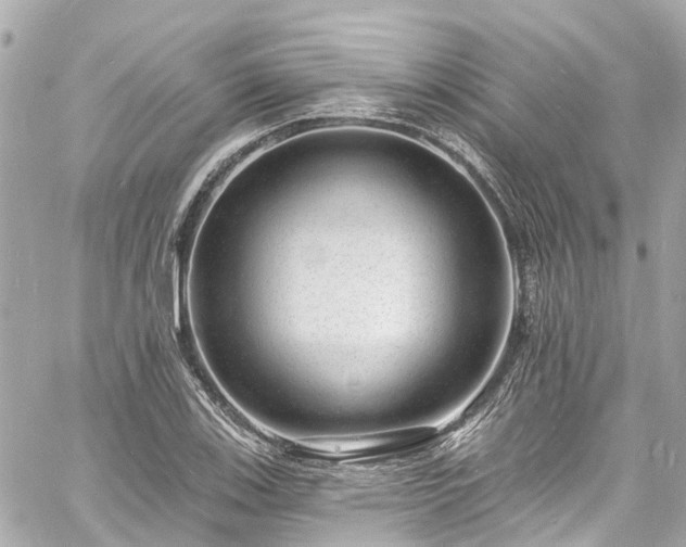 X0000060811123200511141459