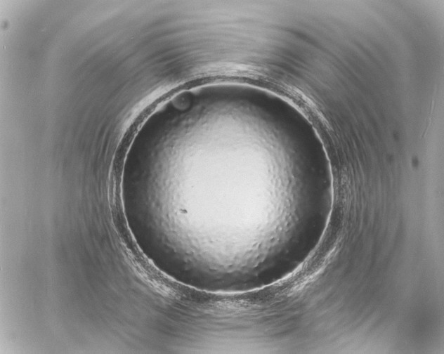 X0000060811125200511141459