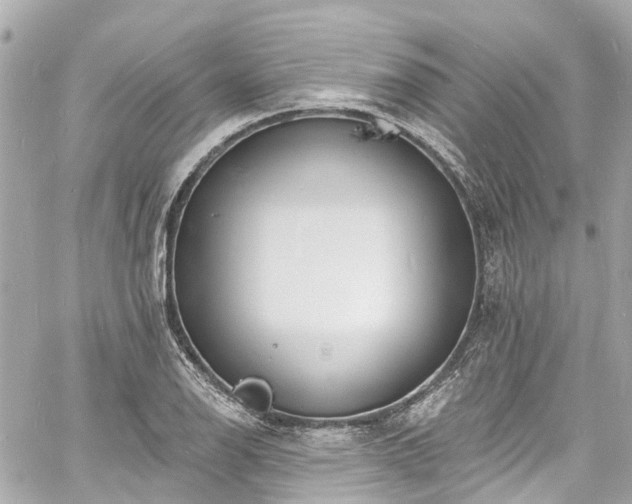 X0000060811126200511141459