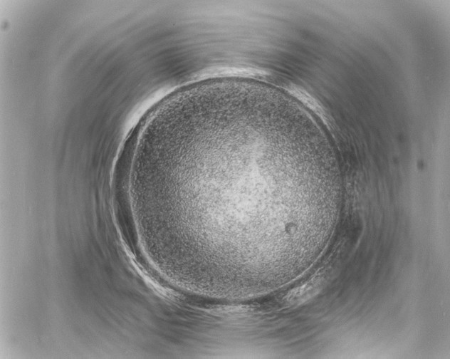 X0000060811127200511141459