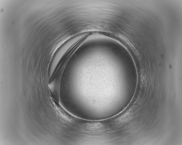 X0000060811129200511141459