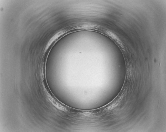 X0000060811130200511141459