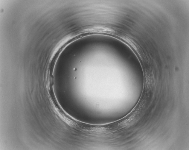 X0000060811131200511141459