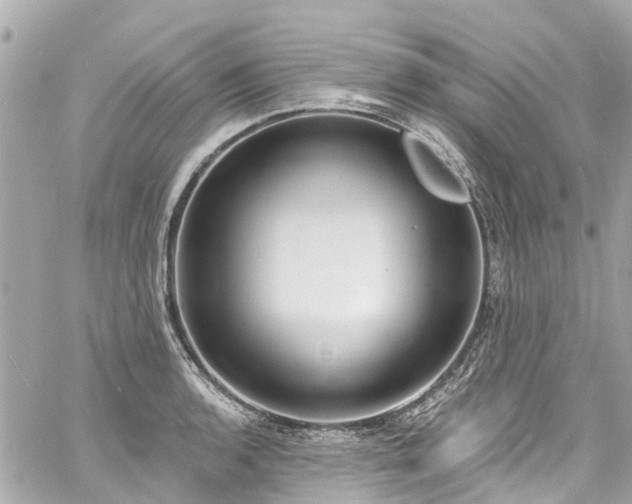 X0000060811136200511141459