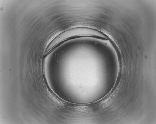 X0000060811137200511141459