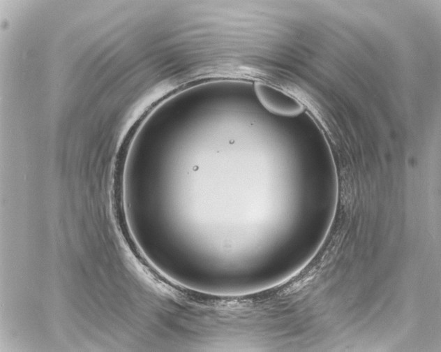 X0000060811139200511141459