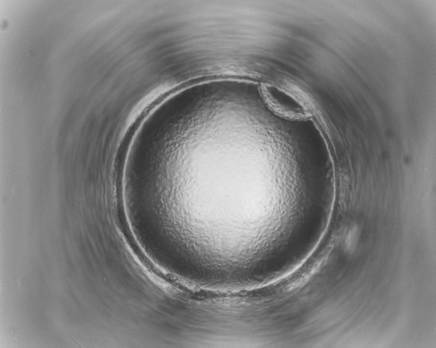 X0000060811141200511141459